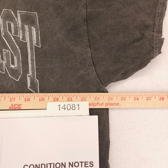 PacSun Casual Crew Neck Short Sleeve Striped T Shirt Mens Size Large L Gray - Picture 6 of 9